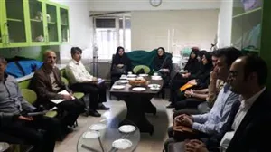 برنامه پایش میدانی مداخلات بیمارستانها  
